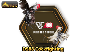 DS88 Cockfighting