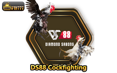 DS88 Cockfighting