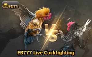 FB777 Live Cockfighting